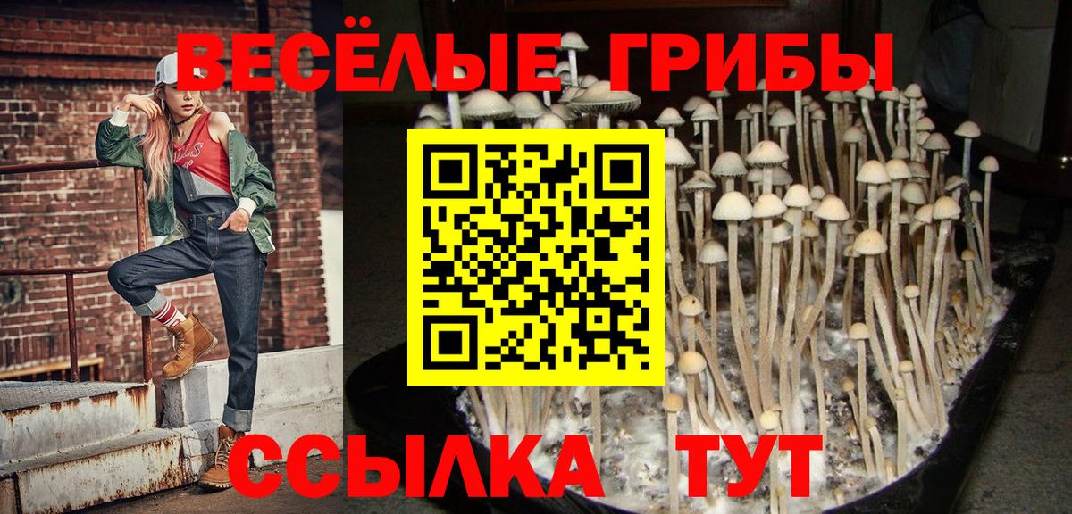 Псилоцибиновые грибы мицелий  Вход с VPN  Галлюциногенные грибы мухоморы  Каспийск 