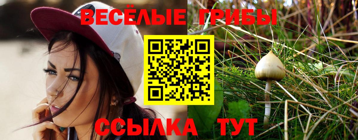 Галлюциногенные грибы мухоморы Каспийск